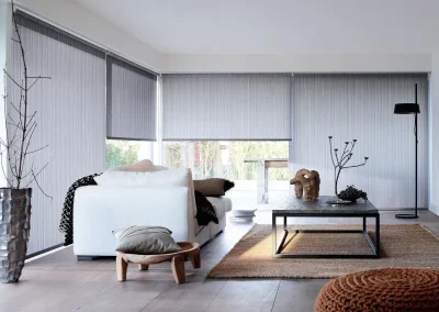 Store rouleaux salon haut de gamme